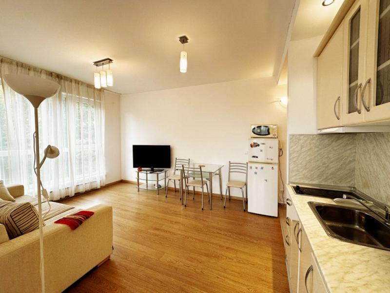 Furnished One-Bedroom Apartment in St. Georgi Palace