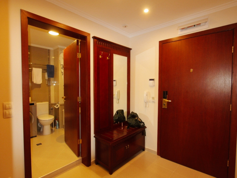 Furnished One-Bedroom Apartment in the Downtown Complex