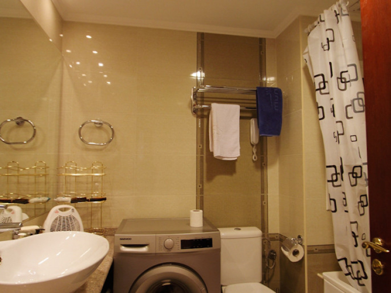 Furnished One-Bedroom Apartment in the Downtown Complex