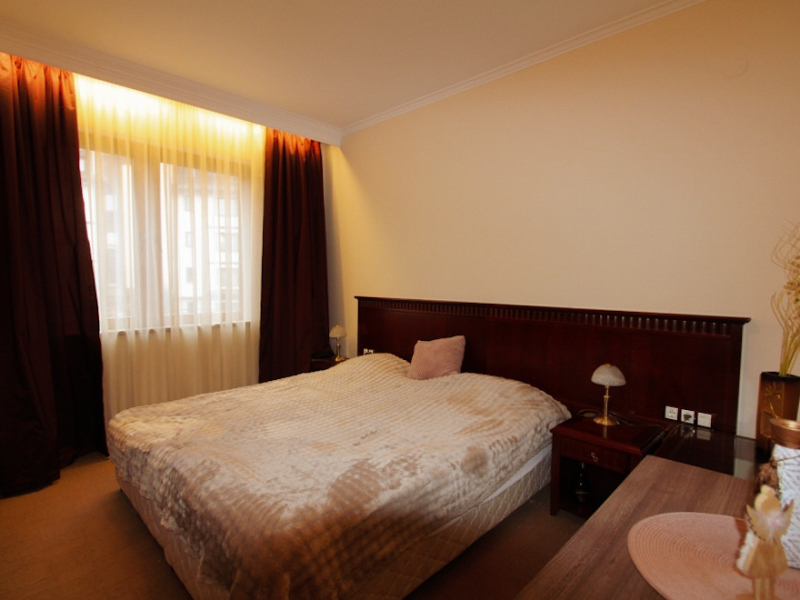 Furnished One-Bedroom Apartment in the Downtown Complex