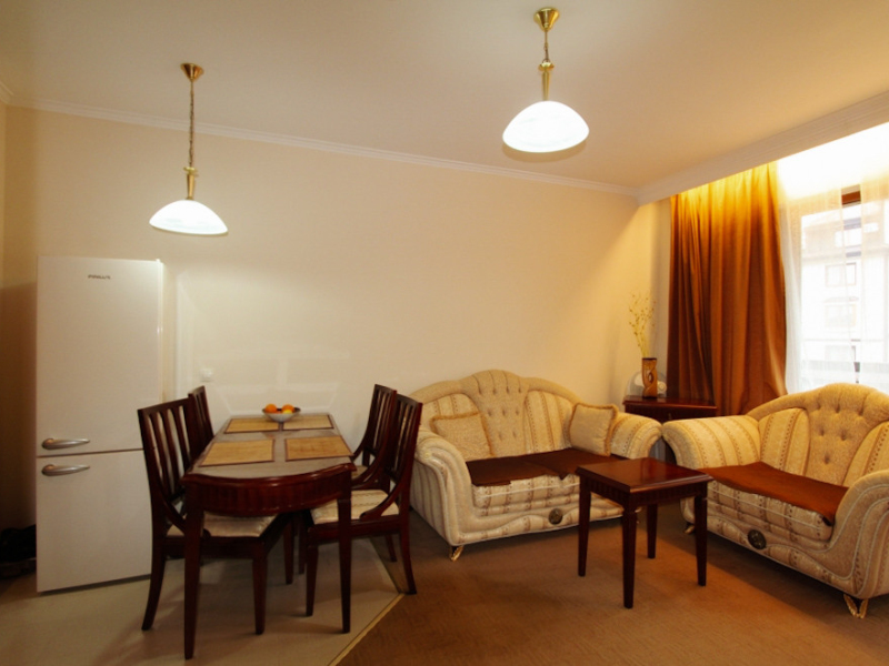 Furnished One-Bedroom Apartment in the Downtown Complex