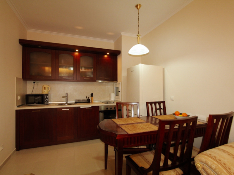 Furnished One-Bedroom Apartment in the Downtown Complex