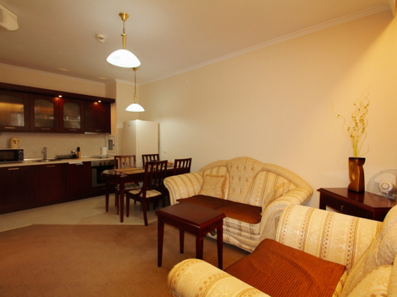 Furnished One-Bedroom Apartment in the Downtown Complex