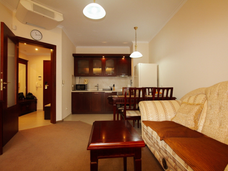 Furnished One-Bedroom Apartment in the Downtown Complex