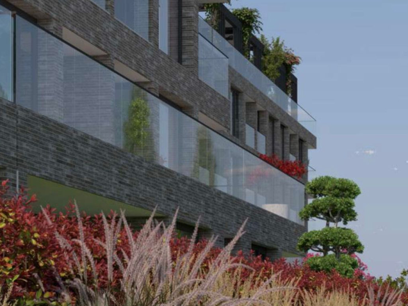 Botanic Garden – Part V | Continuation of peace in precise proportions