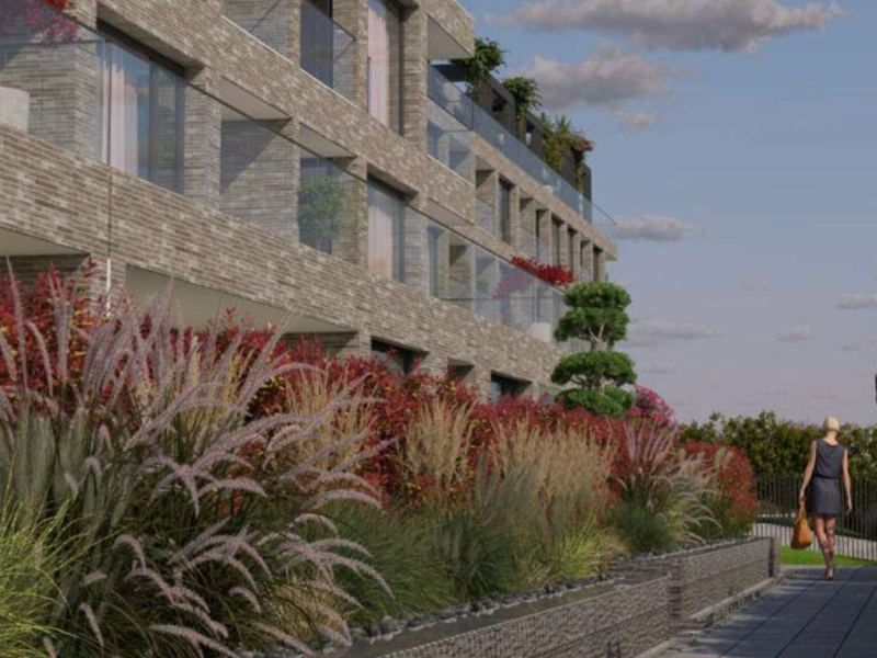 Botanic Garden – Part V | Continuation of peace in precise proportions